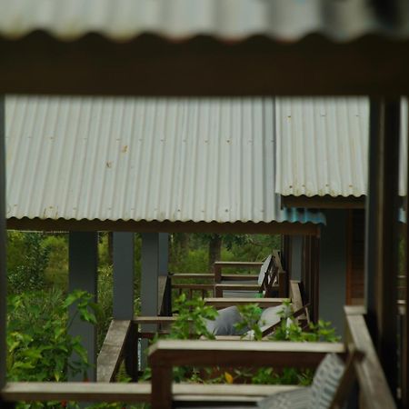 The Geckos Homestay Kelimutu Bilik gambar