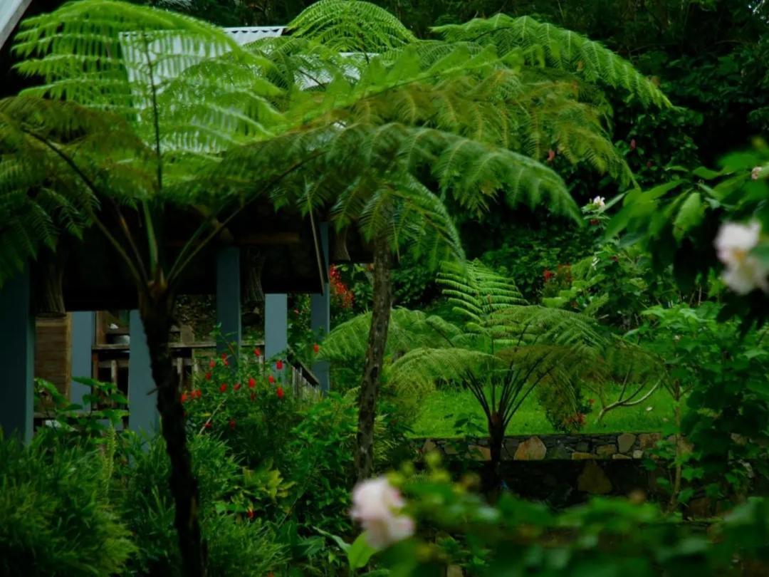 The Geckos Homestay Kelimutu Luaran gambar