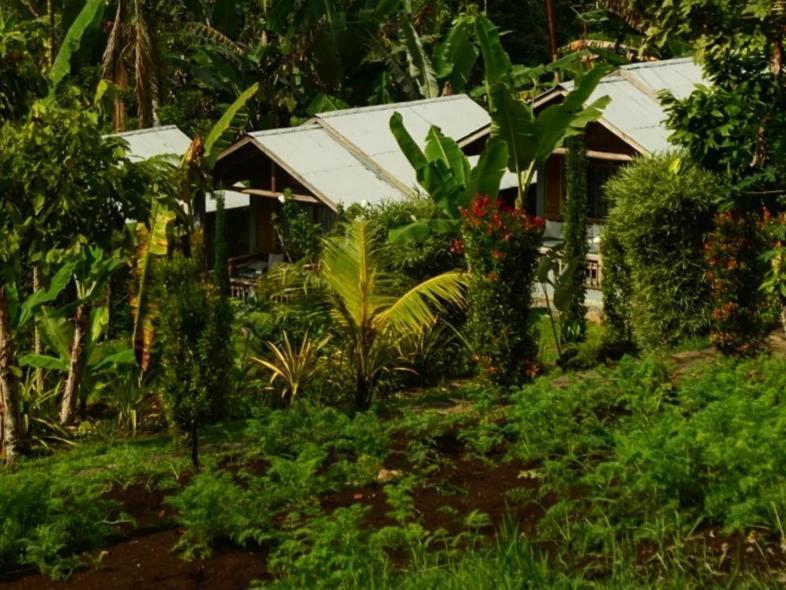 The Geckos Homestay Kelimutu Bilik gambar