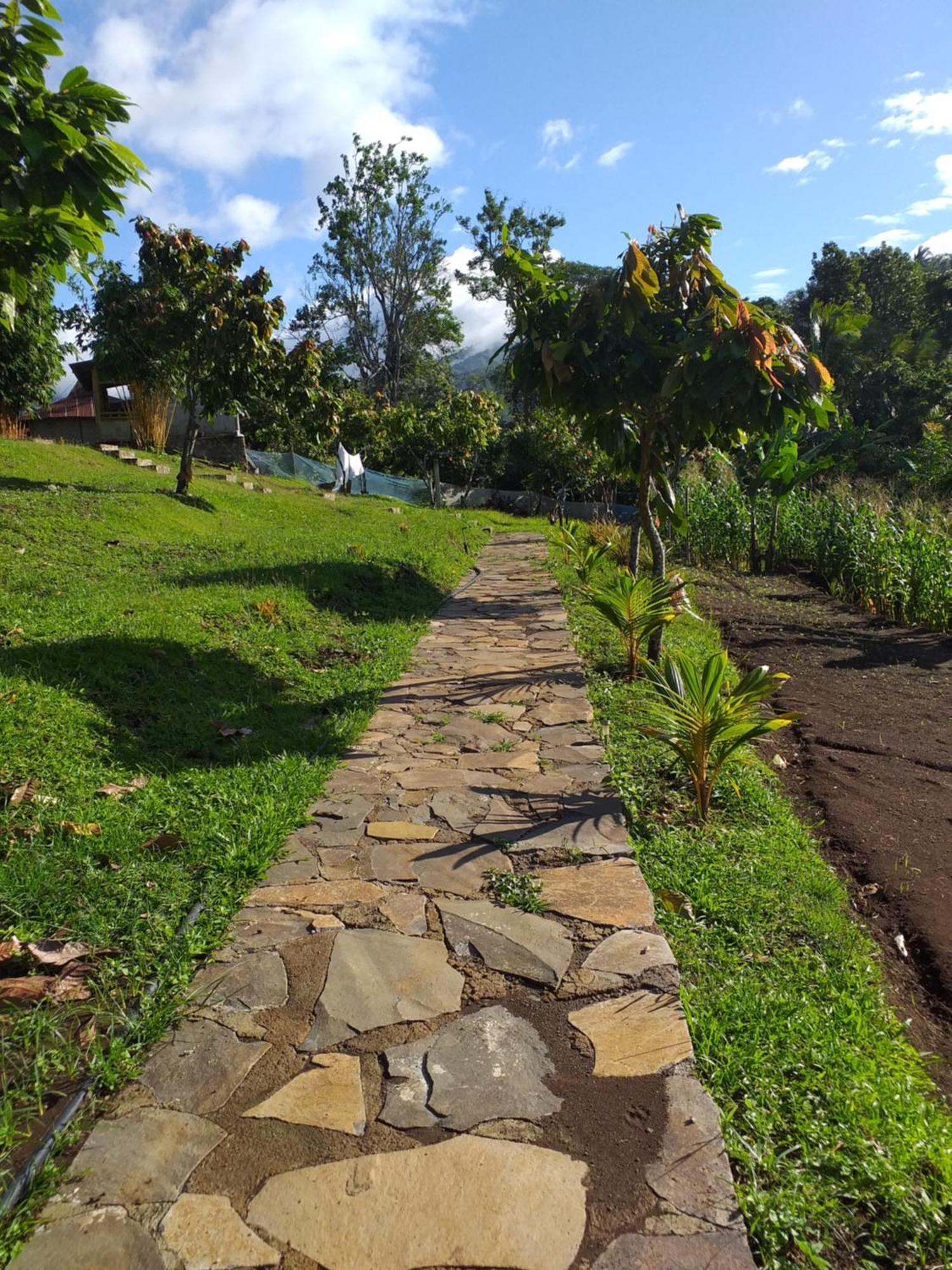The Geckos Homestay Kelimutu Bilik gambar